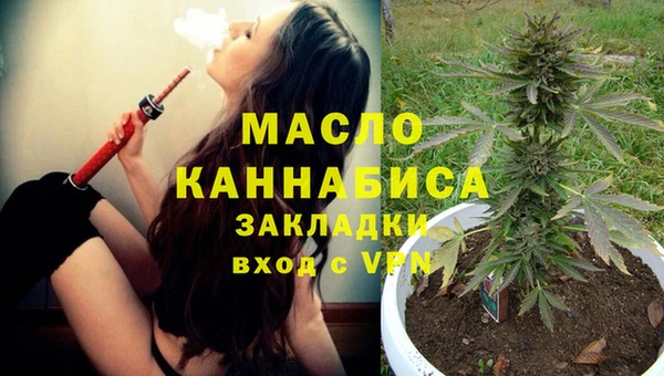сатива Аркадак