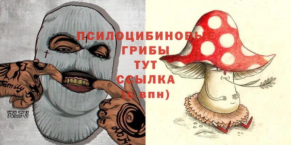 сатива Аркадак