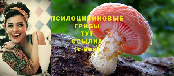 гашиш Арсеньев