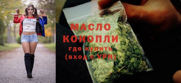 сатива Аркадак