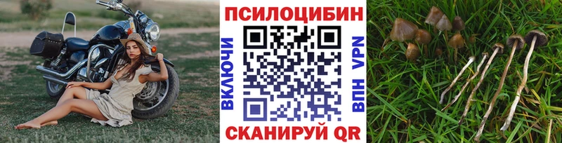 Галлюциногенные грибы Cubensis дарнет шоп Ишимбай